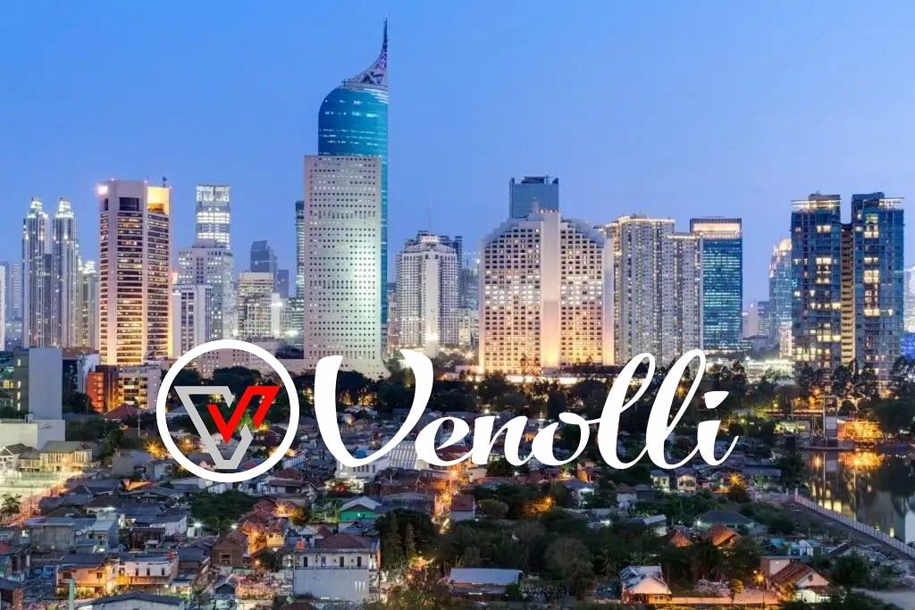Venolli Group